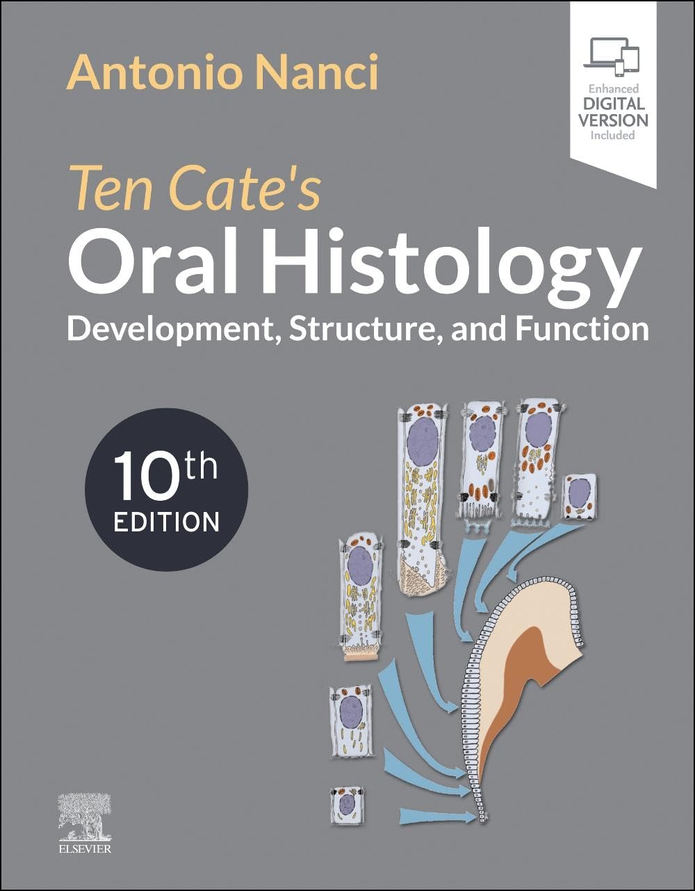Ten Cate's Oral Histology: Development, Structure, and Function (10th Edition) - Orginal Pdf